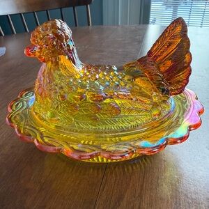 Stunning Mosser Marigold 6 inch hen on nest. Glower!